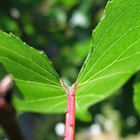 Profile Picture of Tim Boyle (@tim-boyle-48) on Quora