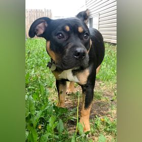 Profile Picture of Dylan Hagen (@marshall0495) on Pinterest