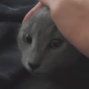 Profile Picture of David Jackson (@davidjackson6558) on Youtube