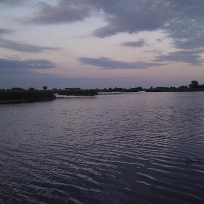 Profile Picture of Vesna Stefanovic (@sofijaveka) on Twitter