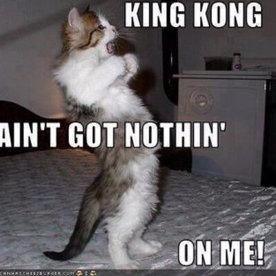 Profile Picture of Preston Watson (@swag_master117) on Twitter