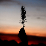 Profile Picture of Josh Miller (@joshmiller_photo) on Flickr