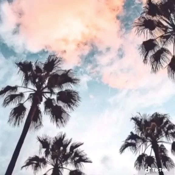 Profile Picture of anna.rudnicki33 (@anna.rudnicki33) on Tiktok