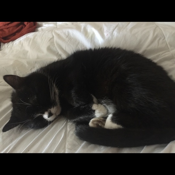 Profile Picture of Krystal Clark (@yopashmark) on Poshmark