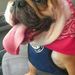 Profile Picture of Lloyd NICHOLSON (@lloydnicholson0) on Pinterest