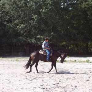 Profile Picture of Nick Fanelli (@135180843) on Myspace