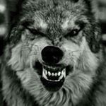 Profile Picture of jeff Major (@jeffmajah) on Instagram