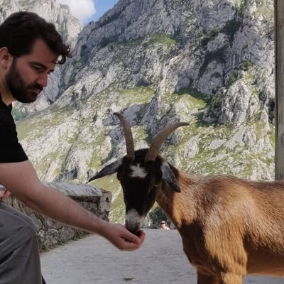 Profile Picture of Thomas Sanchez 🐂🐄🐑🐐🐎 (@th_agri) on Twitter