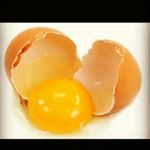 Profile Picture of Tyler Holbrook (@egg_pun_master) on Instagram