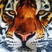 Profile Picture of Dylan Laster (@dylan.laster.92) on Facebook