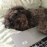 Profile Picture of Michael Heffernan (@notmikeheff) on Instagram