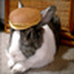 Profile Picture of E-dak (@e-dak) on Flickr