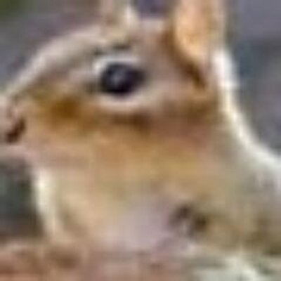 Profile Picture of Marc Liebman (@marcliebman) on Twitter