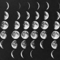 Michael - Twitter Profile Picture of Michael (@bernardini1611) on Twitter