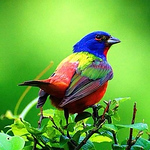 Sabar Alshawi - Flickr Profile Picture of Sabar Alshawi (@sabaralshawi533) on Flickr