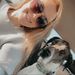 Profile Picture of Kelsay Davidson (@kelsaydavidson) on Pinterest