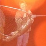 Brian Fannin - Instagram Profile Picture of Brian Fannin (@gensinghuntingdipper) on Instagram