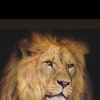 Profile Picture of Carlos Granillo (@carlos.granillo.7927) on Facebook