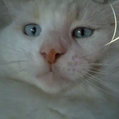 Profile Picture of Wilma Lugo (@wilma.lugo.71) on Facebook