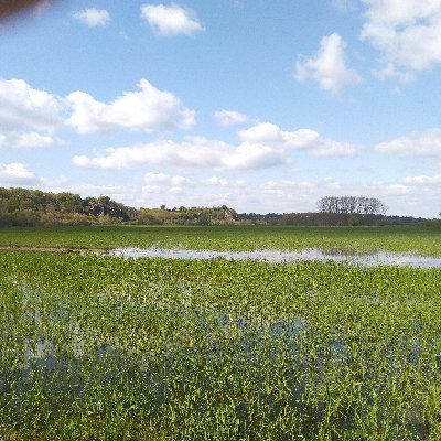 Profile Picture of Trappist One (@thomas_faro) on Twitter
