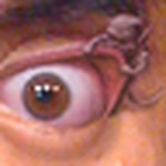 Profile Picture of Gabriel Pérez C. (@gabriel pérez c.) on Flickr