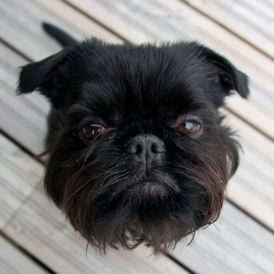 Profile Picture of Dmitri (@DmitriYakovlev) on Twitter