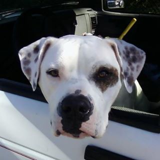 Profile Picture of Sunny Garrett (@sunny.garrett.7) on Facebook