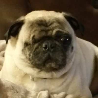 Dan Ressegger - Twitter Profile Picture of Dan Ressegger (@ResseggerDan) on Twitter