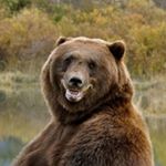 Profile Photo of Arturo prieto (@jimbo_thebear) on Instagram