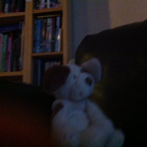 Profile Picture of Jess Plant (@jessplant) on Myspace