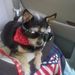 Profile Picture of Andrew Rhymer (@andrewrhymer) on Pinterest