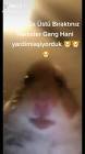 Profile Picture of   Selim Mert (@selimmert10)... (@selimmert10) on Tiktok