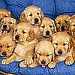 Profile Picture of Yusra Mohamed (@yusra3666) on Flickr