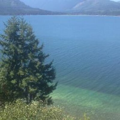 Profile Picture of Jeff (@Jeff_TreeHugger) on Twitter