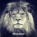 Profile Picture of فَإِنَّ مَعَ الْعُسْرِ يُسْرًا (@jimmy.nashxo) on Instagram