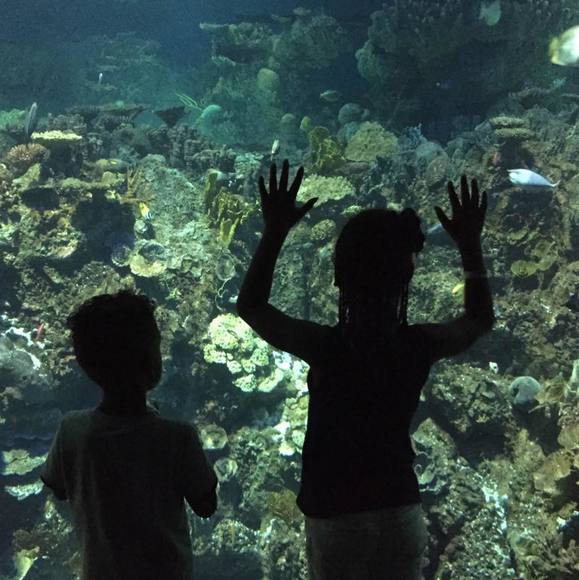 Profile Picture of The Watchman (@lamont_porter) on Poshmark