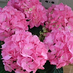 Profile Picture of Julio Gomez (@juliojgb) on Flickr