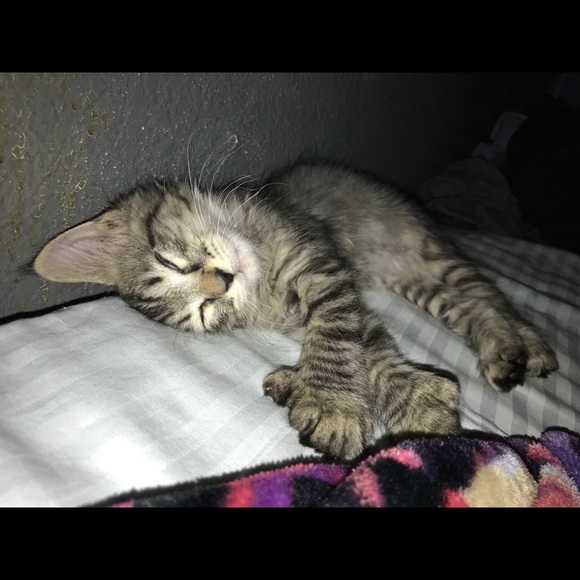 Alexis Meraz - Poshmark Profile Picture of Alexis Meraz (@mezzzzzzzy) on Poshmark