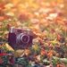 Profile Picture of Autumn Huynh (@autumnhuynh) on Pinterest