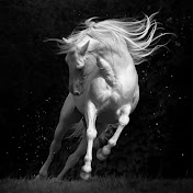 Profile Picture of Michelle Joseph (@michellejoseph3386) on Youtube