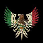 Jose Pavia - Instagram Profile Picture of Jose Pavia (@jose_g_pavia) on Instagram