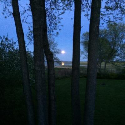 Profile Picture of Steve Alaimo (@stevenalaimo) on Twitter