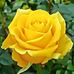 Profile Picture of Sue McGregor (@sue.mcgregor.33633) on Facebook
