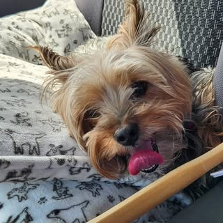 Profile Picture of Ray Ray Small (@rrsmall) on Instagram