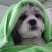 Profile Picture of Jacqueline Cockerham (@jacqueline.cockerham.92) on Facebook