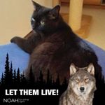 Profile Picture of Renate Heß (@renatehess7) on Instagram