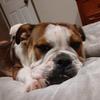 Profile Picture of Lucy Carson (@@lucycarson6) on Tiktok