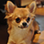 Profile Picture of Hiroyuki Hiraki (@海老zou) on Flickr