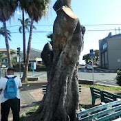 Profile Picture of Keith Mitchell (@KeithMitchell-r8p) on Youtube