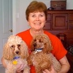 Profile Picture of Sam Barger (@skbandpoodles) on Instagram